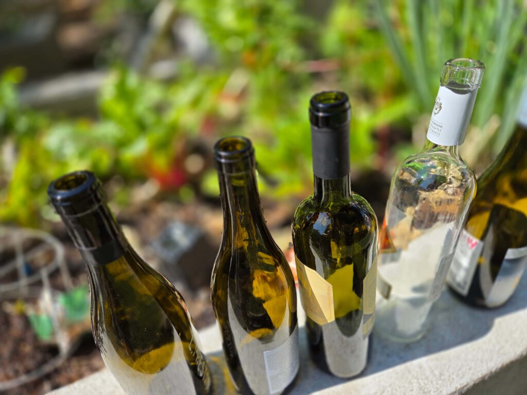 empty wine bottles lined up against the garden bed, ready to be filled with water