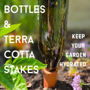 title and photo of the water-filled wine bottle filling a terra cotta stake in the garden