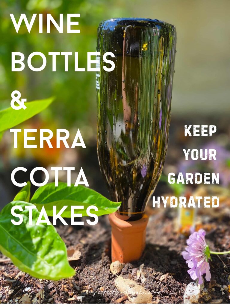 title and photo of the water-filled wine bottle filling a terra cotta stake in the garden